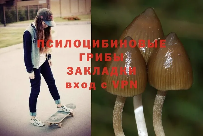 Галлюциногенные грибы Magic Shrooms  Поронайск 